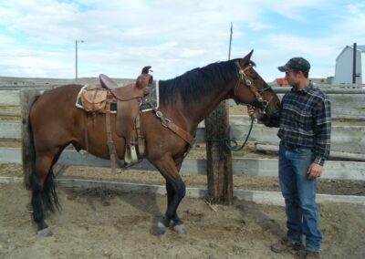 horse riding